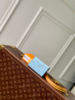 Louis Vuitton Pocket Organizer