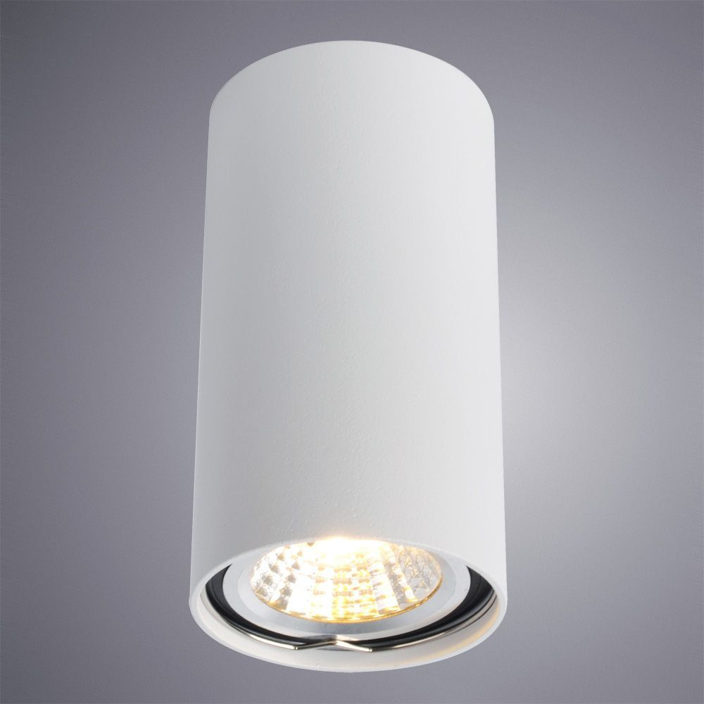 Накладной светильник Arte Lamp A1516PL-1WH