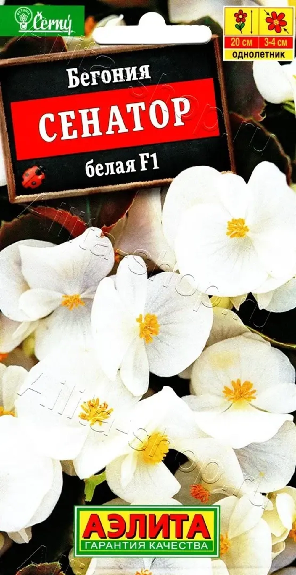 Бегония семена