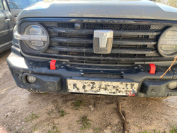 Комплект силовых бамперов Tank 300