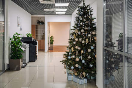 Дизайнерская ель «Королева зимы»