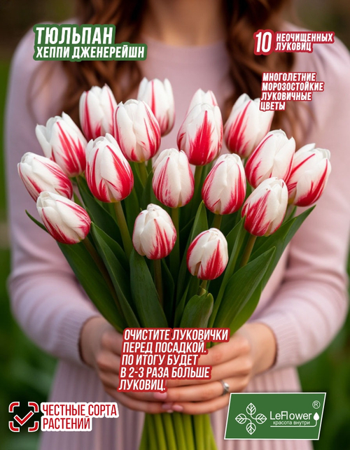 Тюльпан Луковица, Хэппи Дженерейшн, 5+ шт