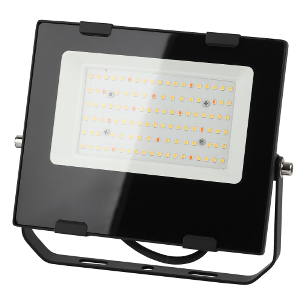 Фитопрожектор для растений светодиодный ЭРА FITO-50W-Ra90-LED для цветения и плодоношения полного спектра 50 Вт | Фито прожекторы