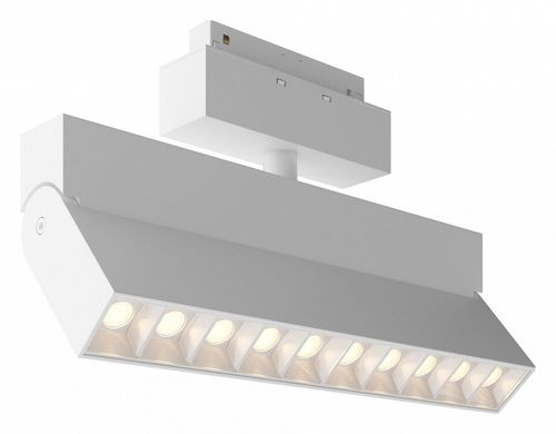 Трековый светильник Maytoni Technical TR077-2-20W3K-W