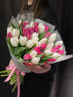 35 бело-розовых тюльпанов