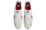Кроссовки Nike Brsb