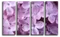 Модульная картина "Сиреневая сирень"