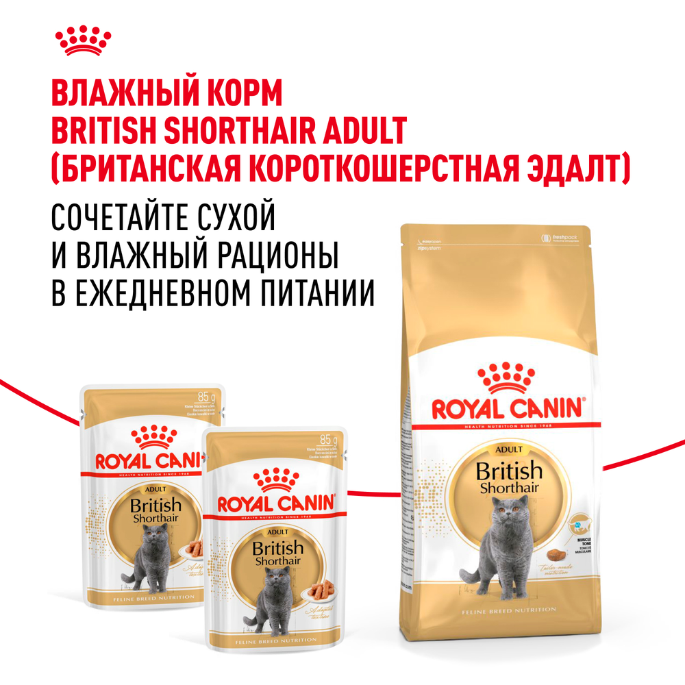 Royal Canin British Shorthair Adult (БРИТАНСКАЯ КОРОТКОШЕРСТНАЯ ЭДАЛТ) Корм сухой для взрослых британских кошек 400г