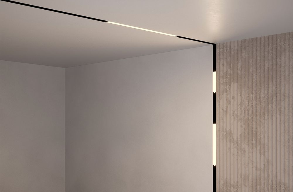 Трековый магнитный светодиодный светильник Maytoni Basis Gravity TR074-2-12W4K-B