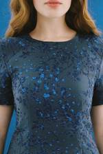 Bluebird dress