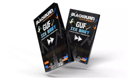 BlackBurn 100гр. Ice Baby (Ягодный сорбет с грейпфрутом) (М)