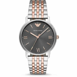 Мужские наручные часы Emporio Armani AR11121