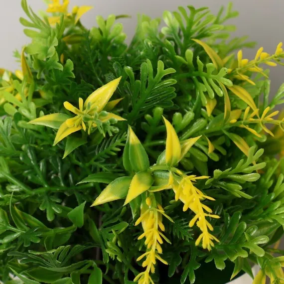 Бонсай в горшке &quot;Куфея пышная&quot; 10*20 см, микс