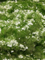 Хлопья - слюда 88306 Нежная мята прозрачный глянец - для литья изделий и творчества