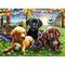 Puzzle Puppy Picnic 100 pcs