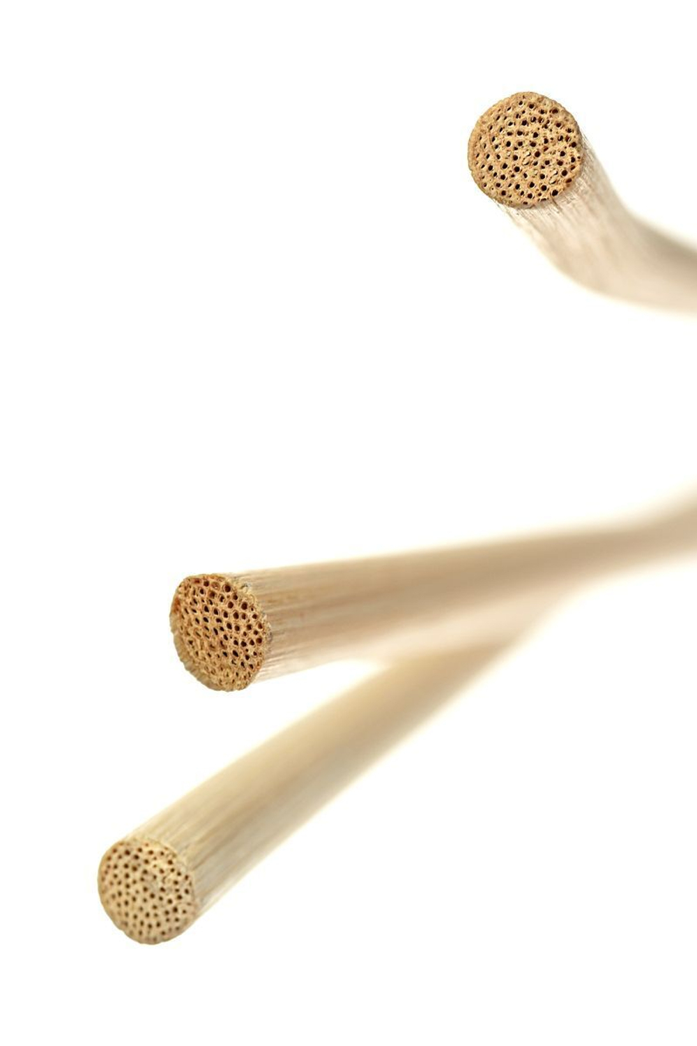 Розги из лозы TOYFA Theatre - 60 см. (Цвет: черный с бежевым)