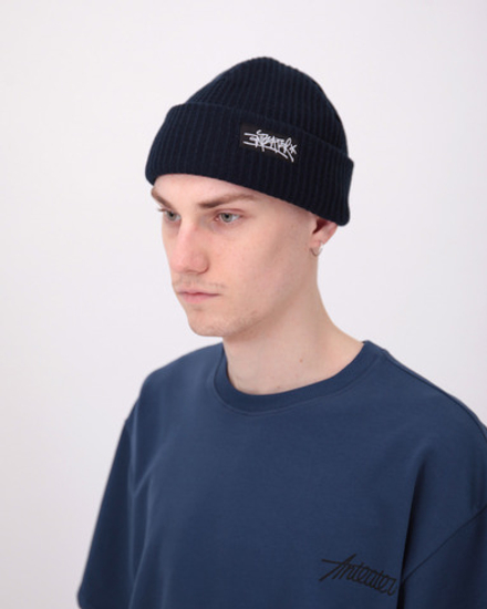 Шапка Anteater Hat2-Navy
