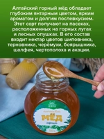 Мед горный алтайский