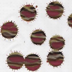 Чернила Sailor Shikiori Yodaki 20 мл (13-1008-218) 4