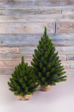 Сосна Русская 90см светло-зеленая в мешочке Triumph Tree