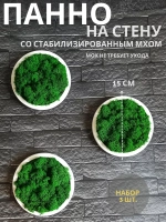 Круглое панно на стену из мха набор 3 шт.
