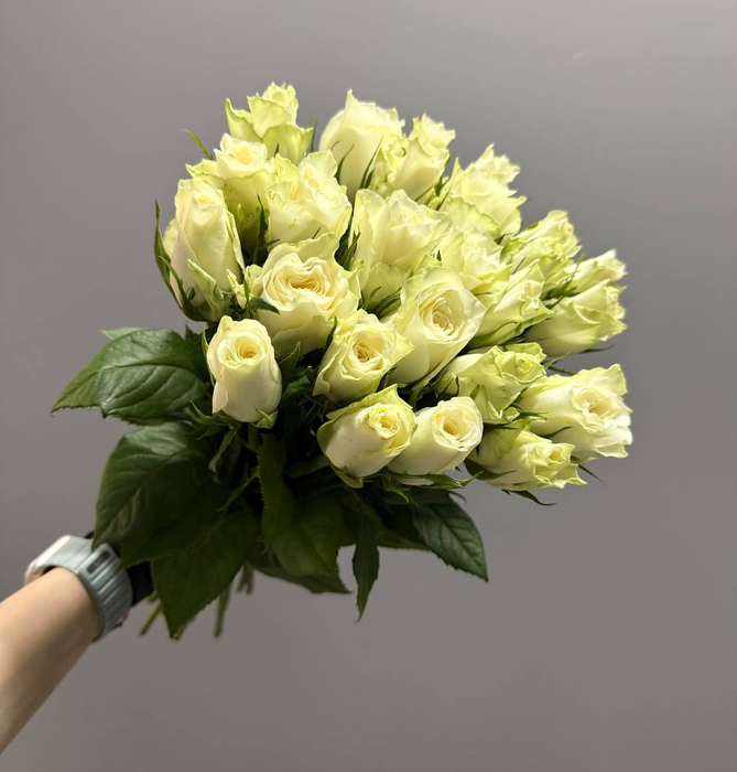 Букет роз "Атена" (25 шт)