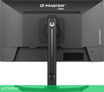 Монитор Iiyama G-Master GB2445HSU-B1