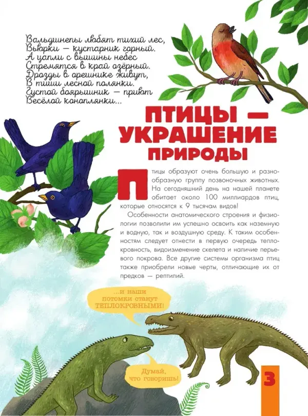 Птицы. Биология. Физиология