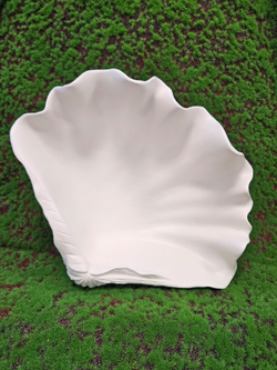 Кашпо Ракушка Тридакна