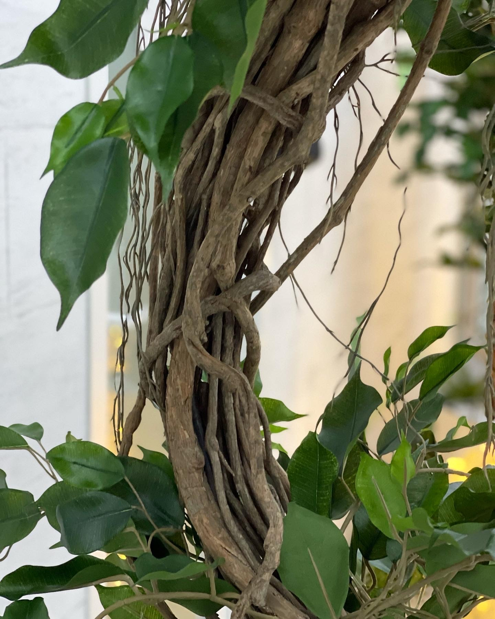 22.01. Озеленение офисного пространства ботаническими копиями растений