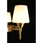 Подвесная люстра Aployt LYUS APL.840.03.08