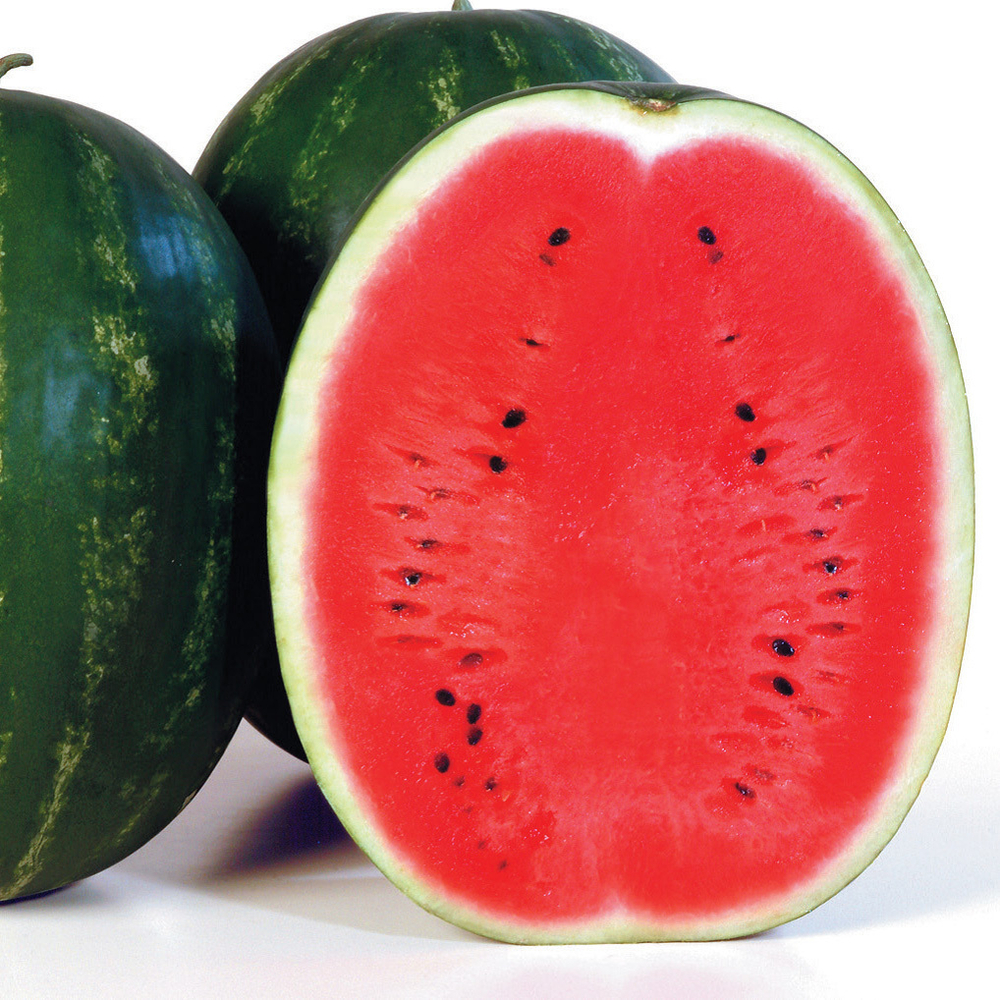 Арбуз Каристан F1 (50шт)  Витагрин Профи