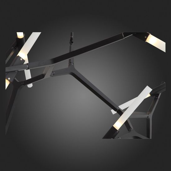 SL947.402.20 Люстра потолочная ST-Luce Черный/Белый G9 20*5W LACONICITA