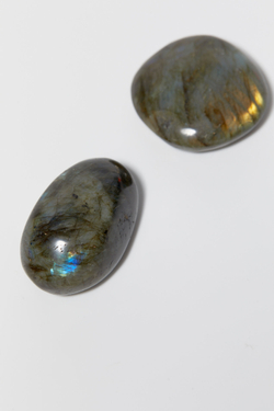 Лабрадор палмстоун M