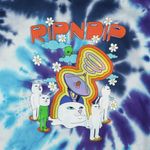  Толстовка мужская Ripndip Stellar Hoodie артикул:RND7047 - купить в магазине Дайс