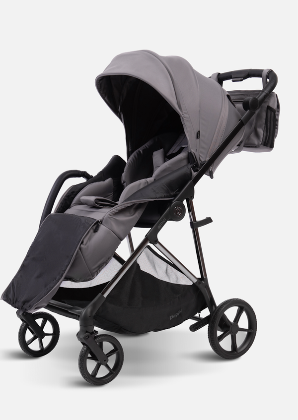 Peppy Коляска прогулочная Amici (Grey) рама Black Chrome (LX)