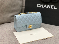 Chanel Bag 20 cm
