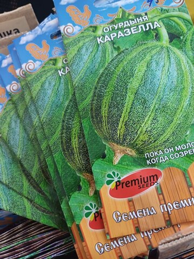 Огурдыня Каразелла