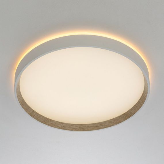 Потолочный светодиодный светильник Citilux Etalon CL750320R