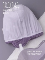 Шапка детская осенняя и шарф с ушками