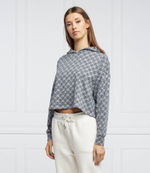 Худи DKNY - серый(P1LHFKOG)