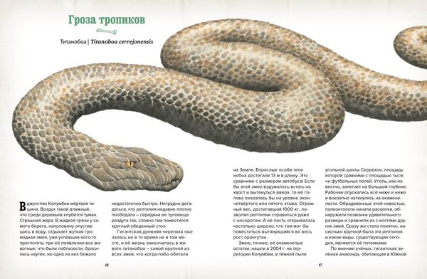 Музей доисторических животных. Единороги, мамонты, динозавры и другие экспонаты. Лотте Стегман