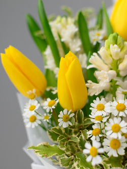 Весенний лучик