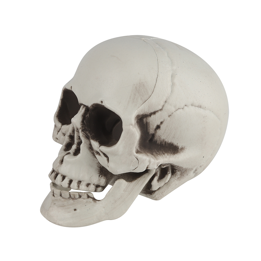 Декоративное украшение Череп 11,5*9*8,5 см.