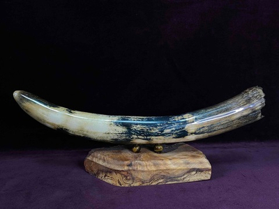 "Сибирячок" 2