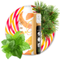 ELF BAR SWEET - Pine Needle Mint (5% nic)