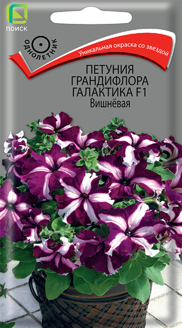 Петуния грандифлора Галактика F1 Вишнёвая