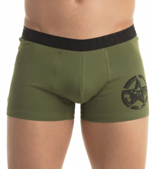 Шорты мужские PANTELEMONE PMH-973