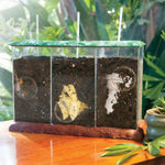 EI-5095 Контейнер для компоста