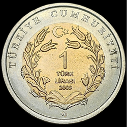 Морская черепаха